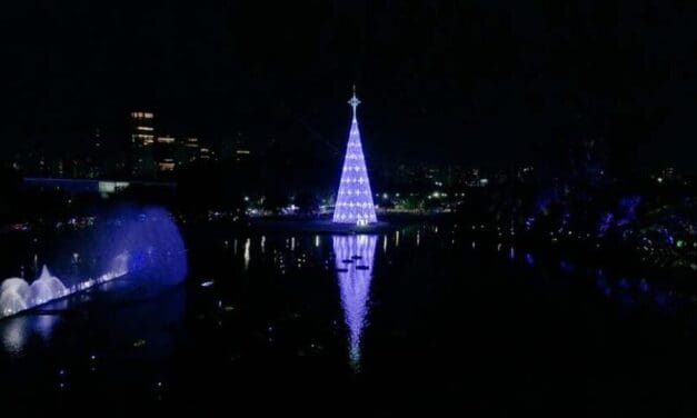 Parque Ibirapuera terá o maior Natal de SP e apresenta árvore de 57 metros