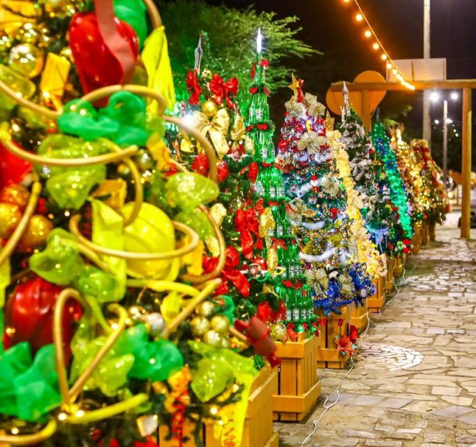 Natal de Gravatá ganha brilho com nova edição do Festival de Pinheiros Natalinos