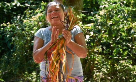 Destino Amazônia: experiências de turismo comunitário