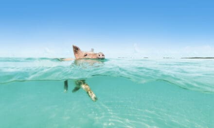 Exumas: um paraíso de luxo e natureza nas Bahamas