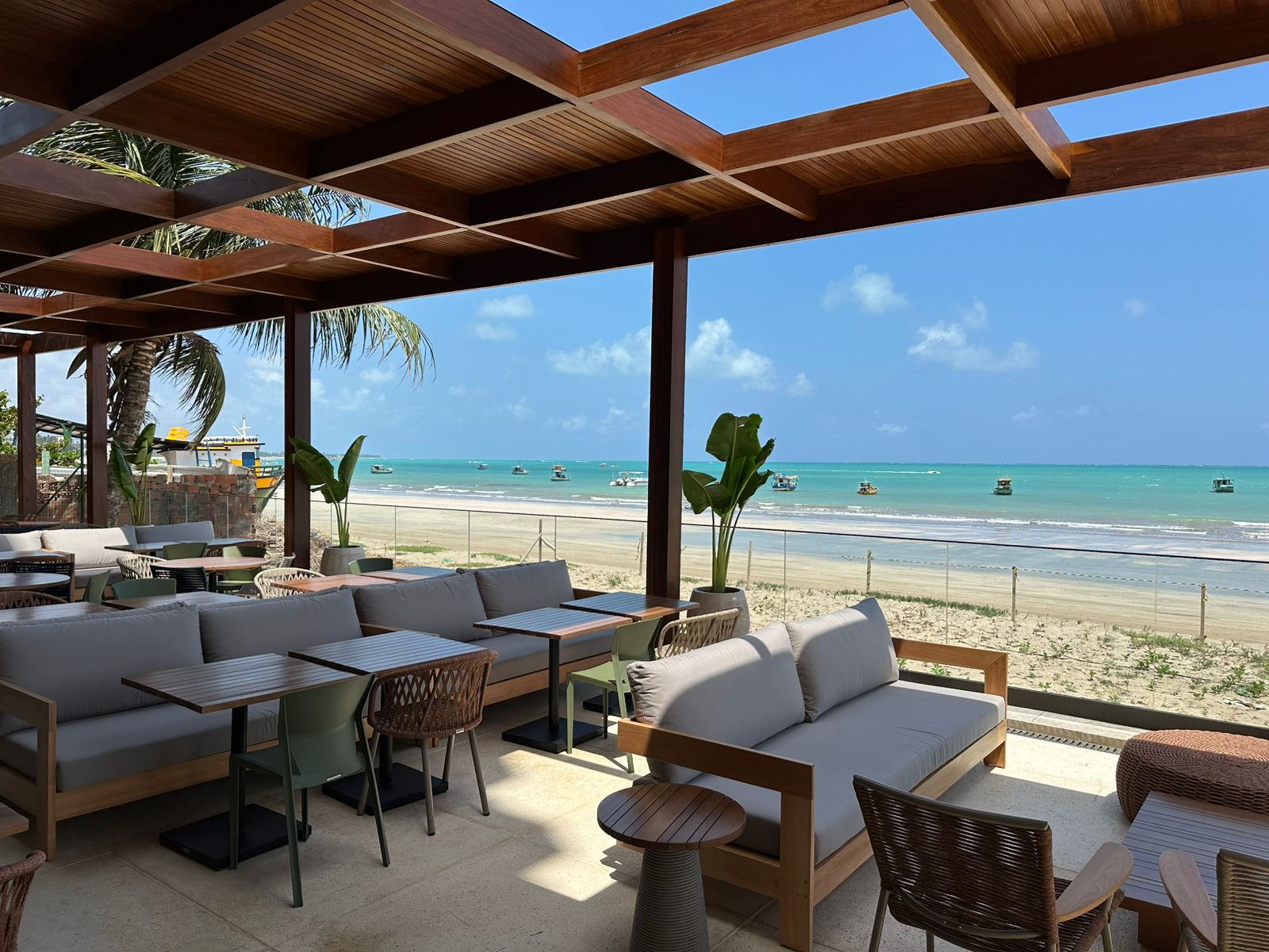 Imagem 3 Ibis maragogi