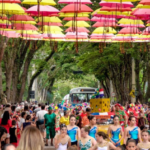 Folia pelo Brasil: cidades aquecem clima para o Carnaval