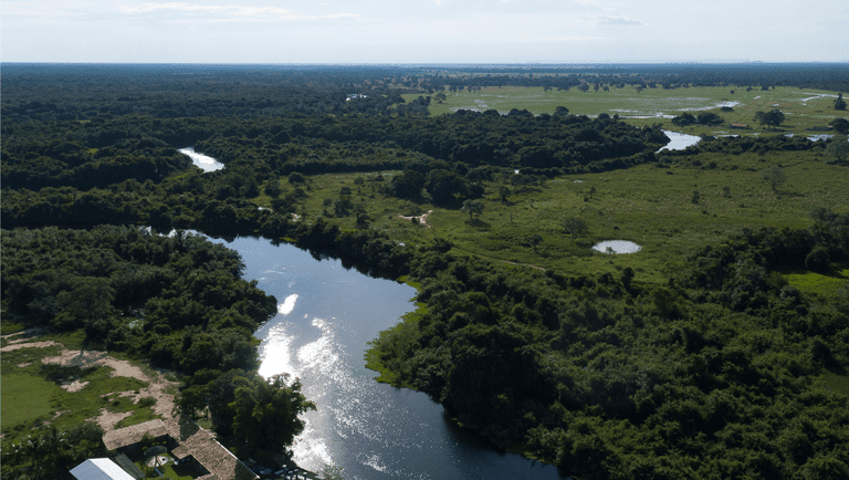 Lula sanciona lei que garante uso sustentável e proteção do Pantanal como Patrimônio Nacional