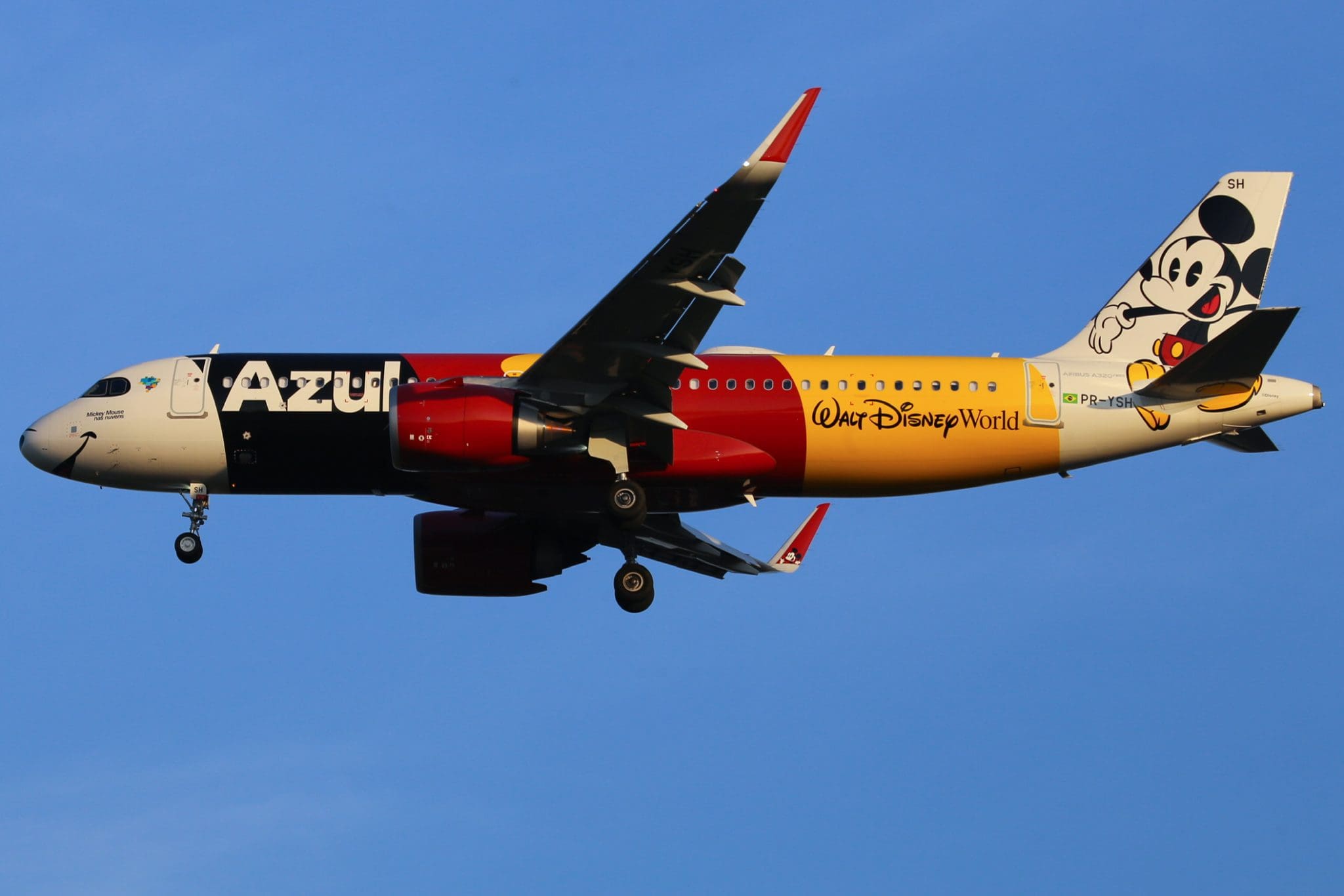 Férias escolares elevam procura por viagens a Orlando e aumentam embarques da Azul Viagens em 33%