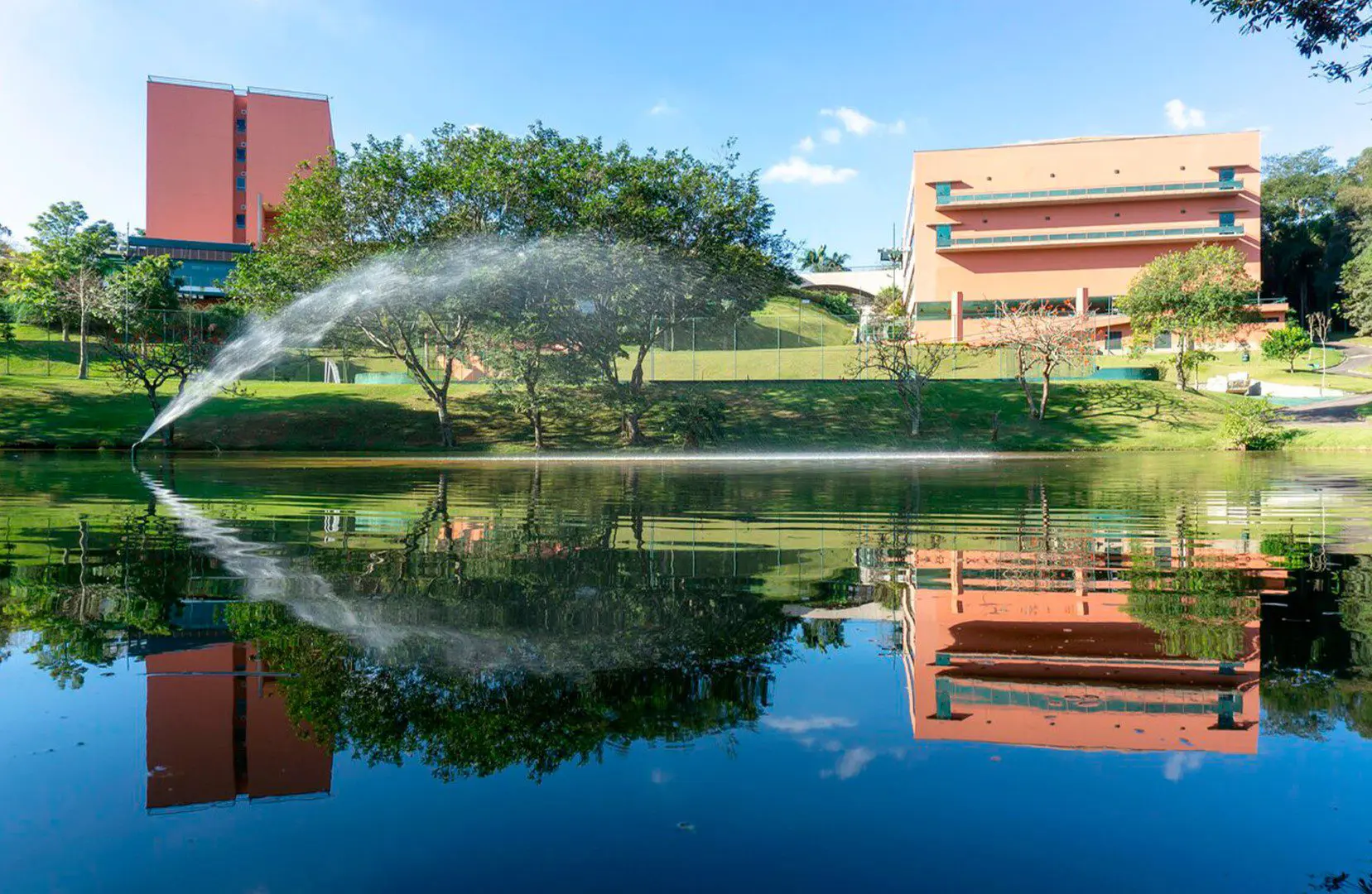 almenat-tapestry-by-hilton-grande