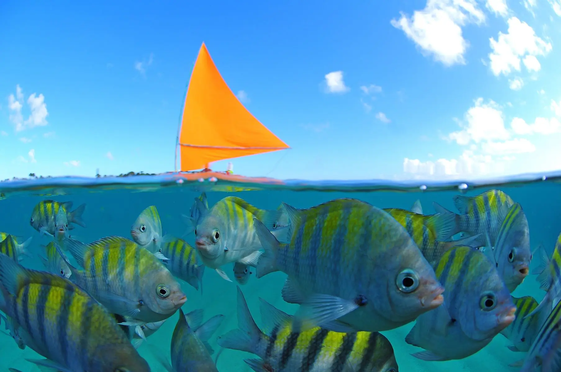 porto-de-galinhas-ipojuca