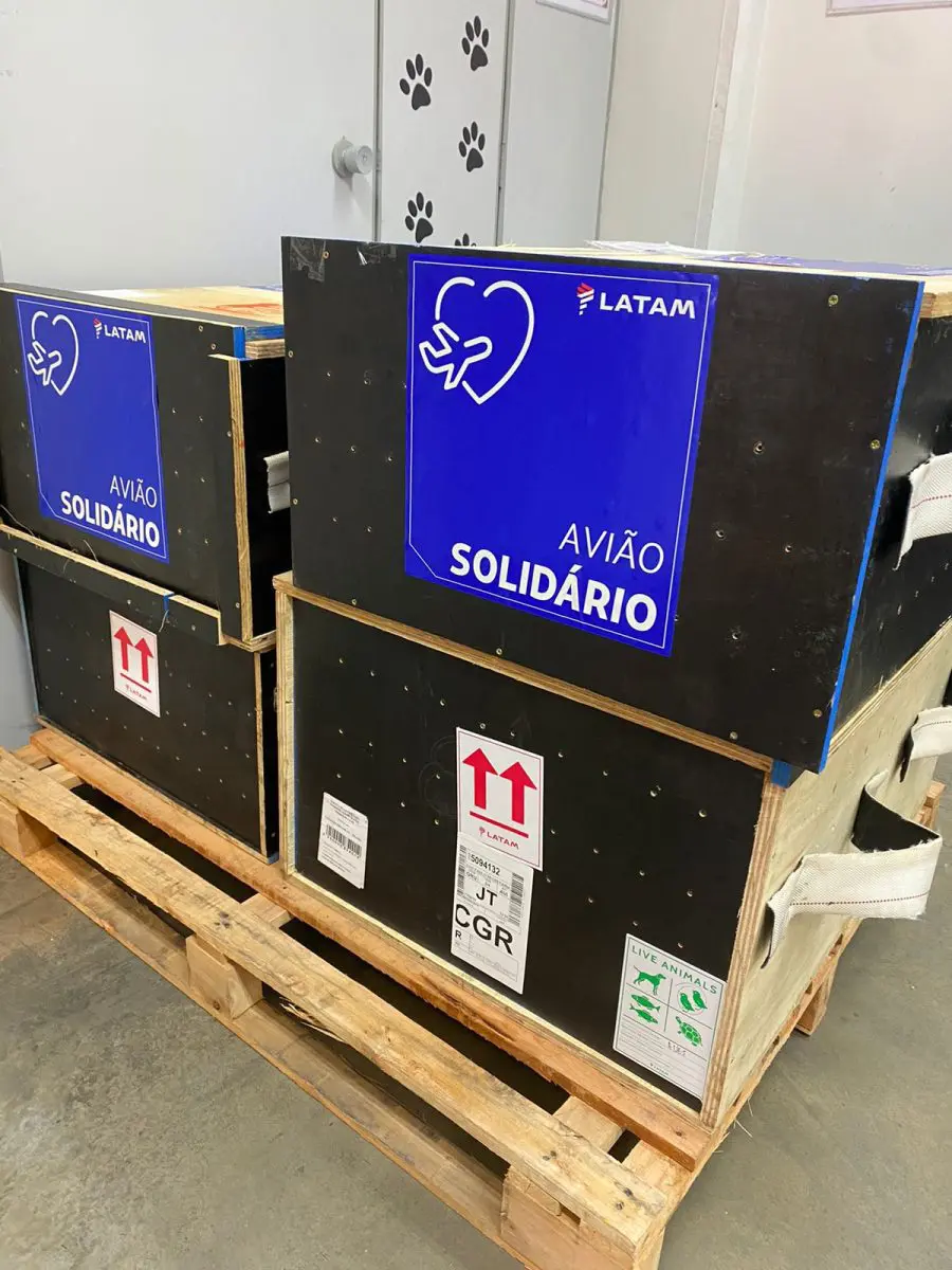 Avião Solidário Latam Avião Solidário Latam