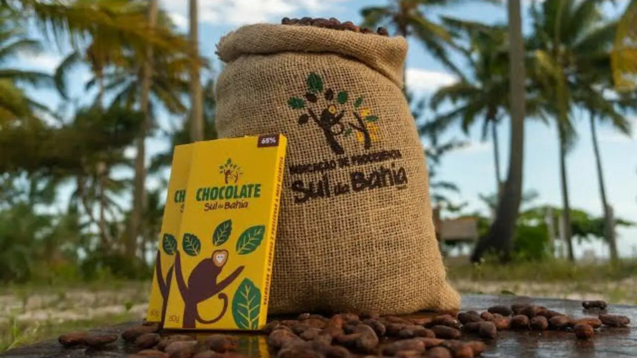 Chocolate sul da Bahia - Connection Experience Chocolate sul da Bahia - Connection Experience