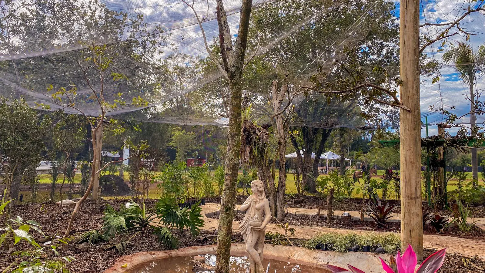 Dreams Eco Park abre viveiro imersivo de aves Dreams Eco Park