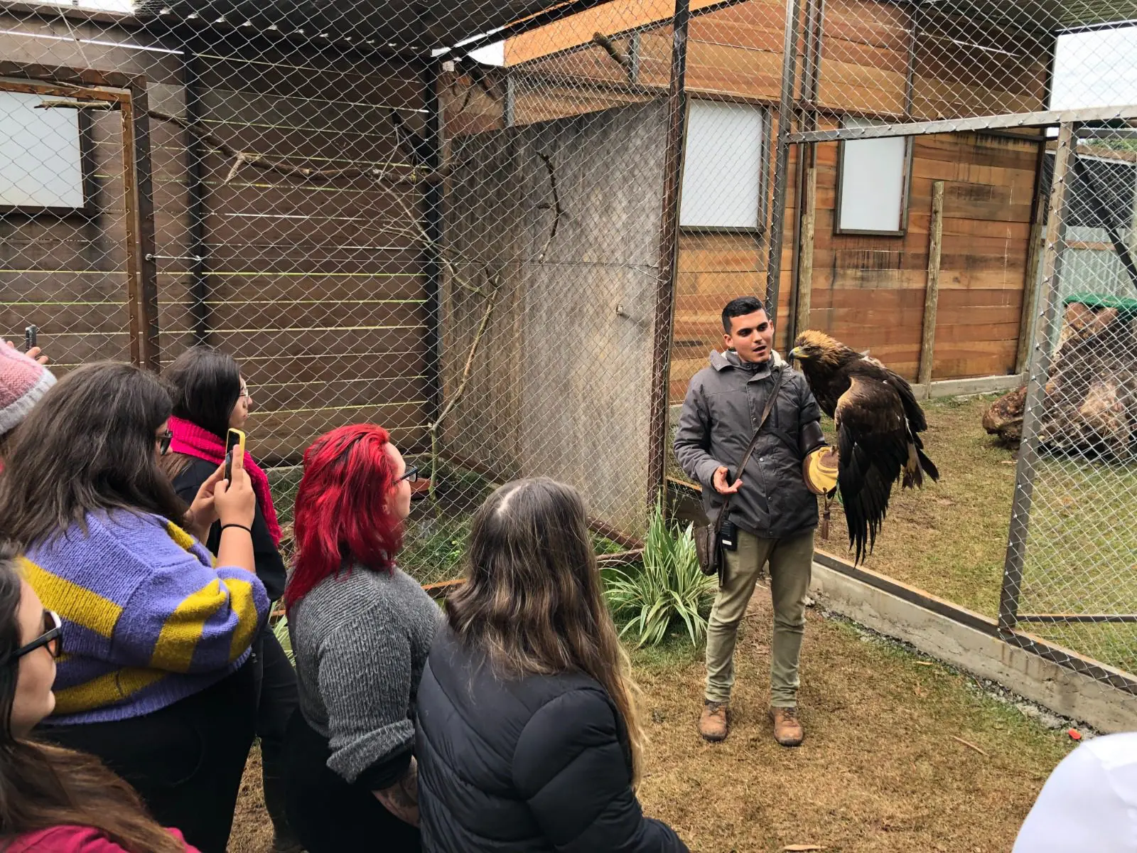 Curso de Condicionamento Animal no Eco Dreams Park. Foto: Divulgação