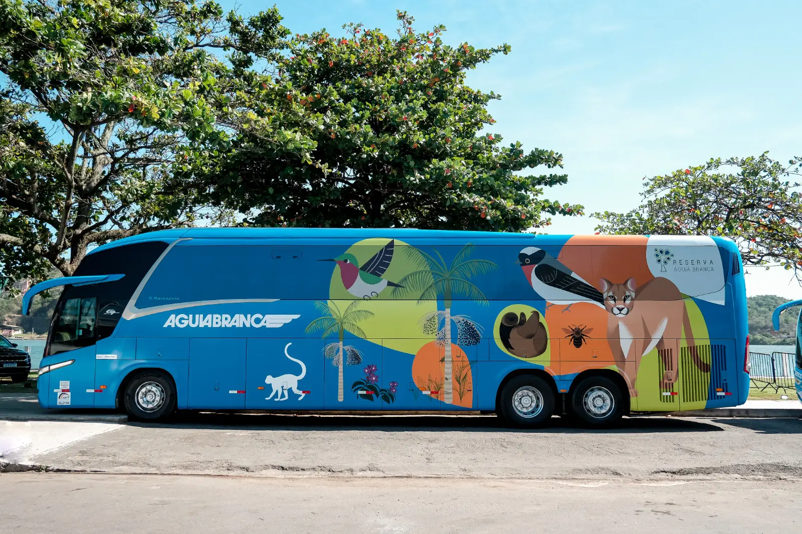 Ônibus da Águia Branca em parceria com a Reserva Ambiental Águia Branca. Foto: Divulgação