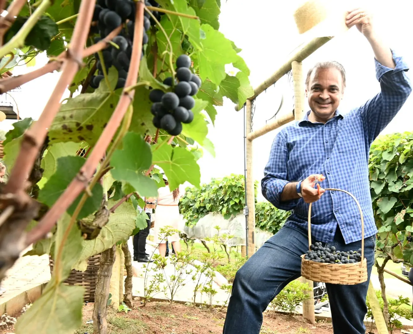 Roberto de Lucena, secretário de Turismo e Viagens de São Paulo na festa da Pisa da Uva em São Roque - Foto: Divulgação