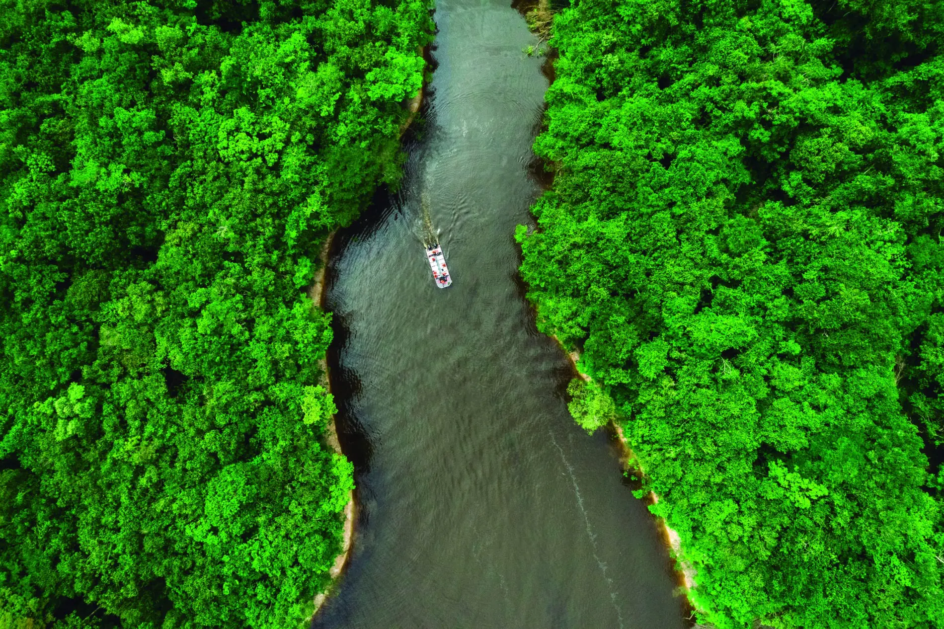 Igapó - Grand Amazon Expedition