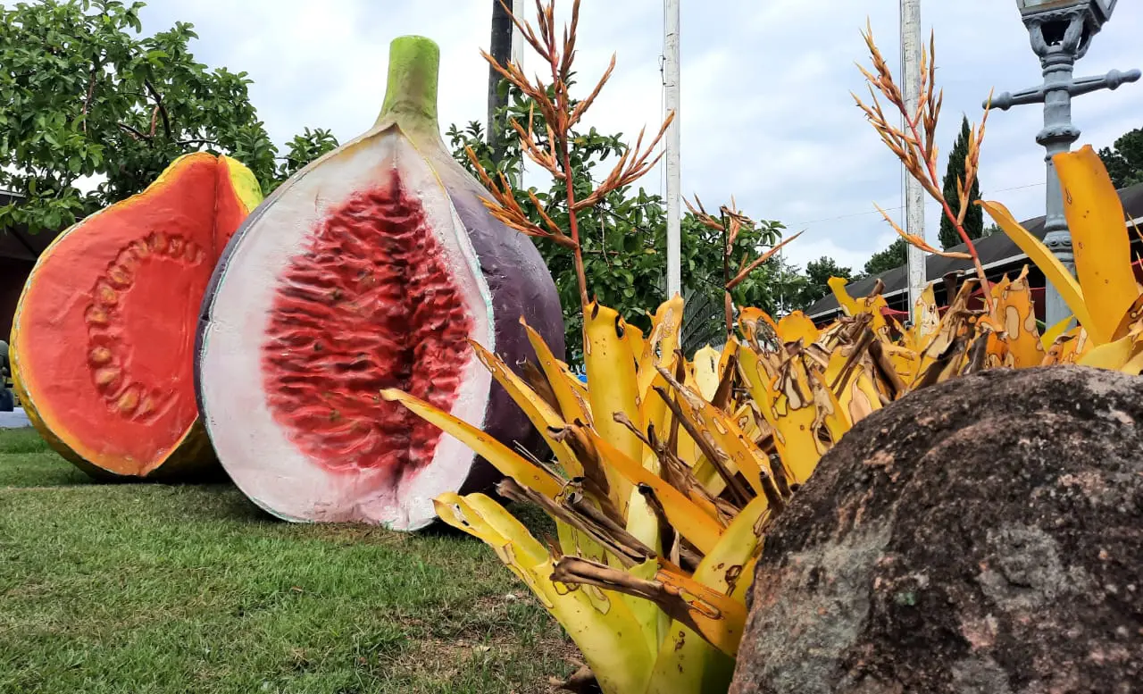 WhatsApp-Image-2024-01-12-at-7.34.25-PM--1- Valinhos Figo Expogoiaba