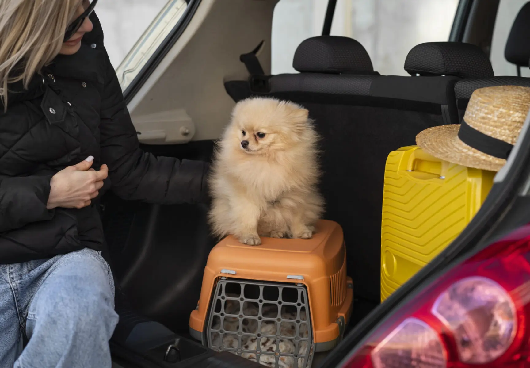 front-view-woman-car-with-dog
