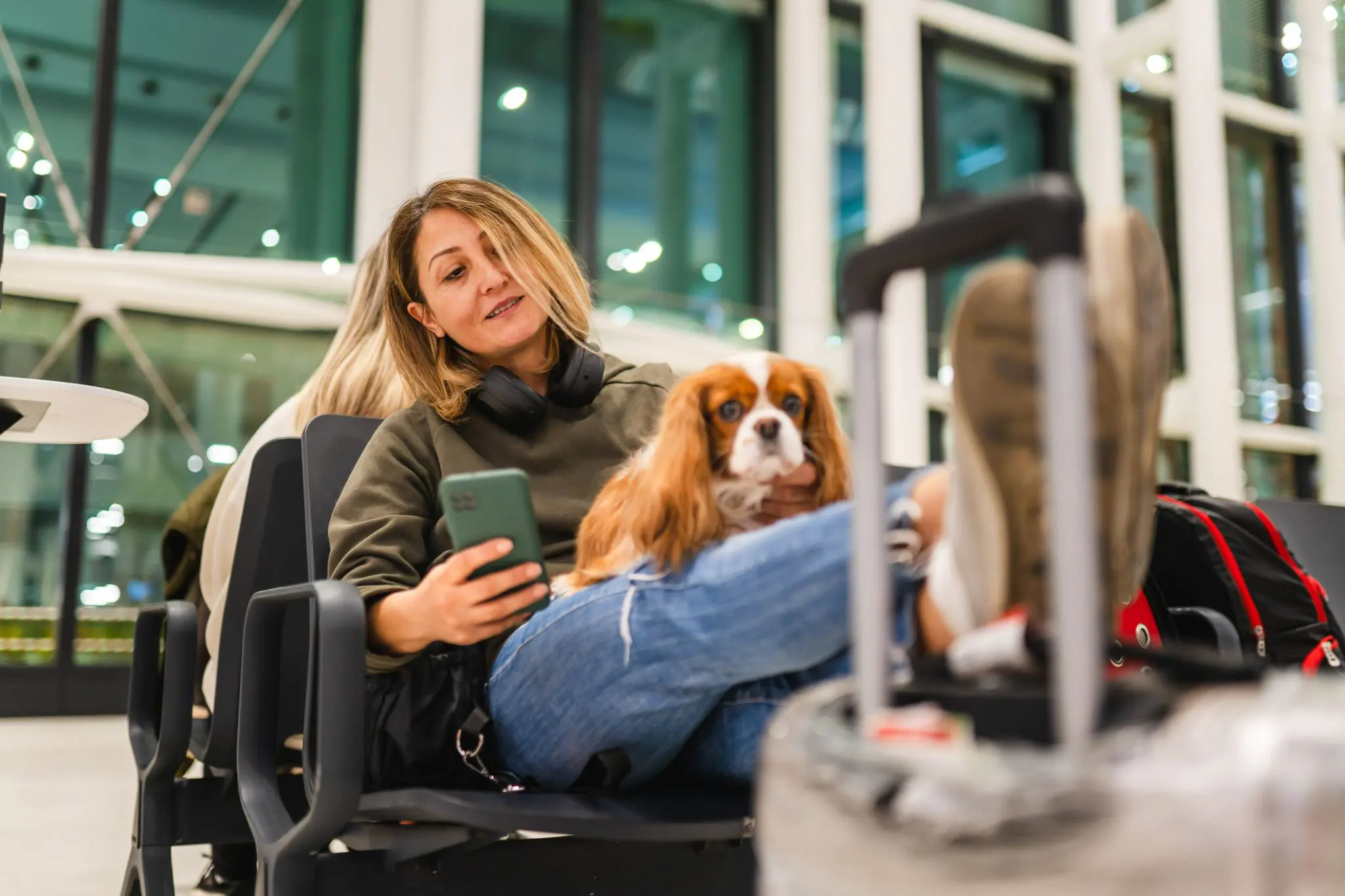 Como levar o cachorro no avião Foto: Su Arslanoglu / divulgação istock