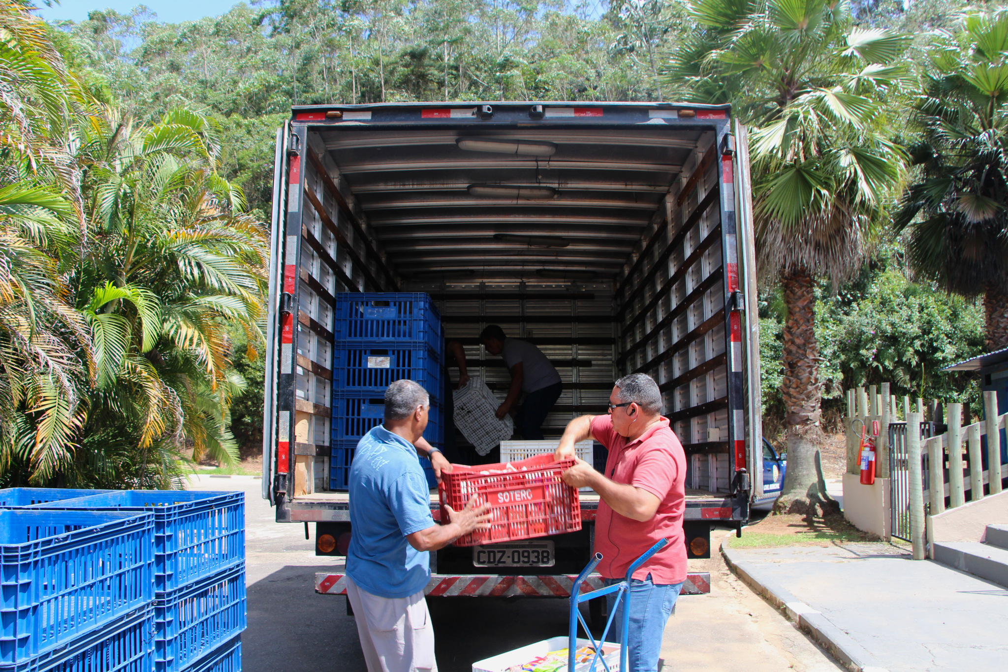 magic city alimentos