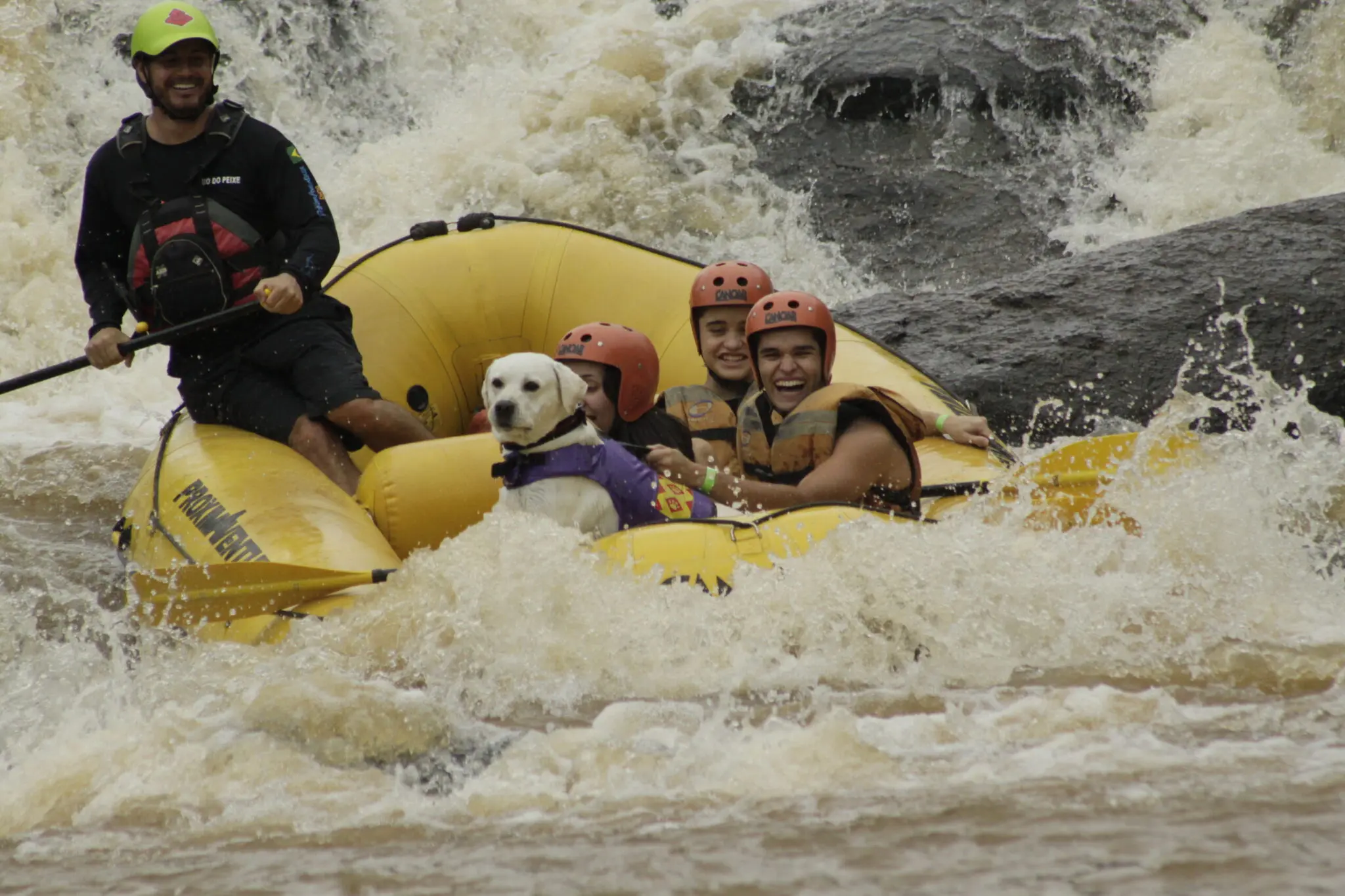 Socorro-Destino-Petfriendly-01 guia pet friendly