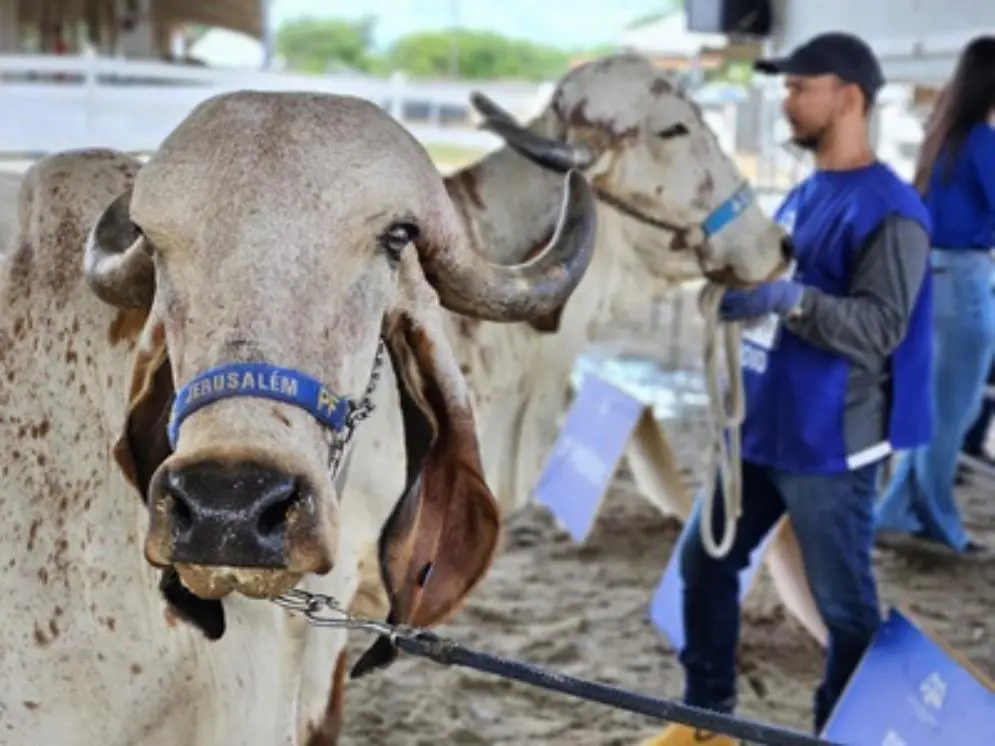 17RN1005 Fecomércio RN Festa do Boi