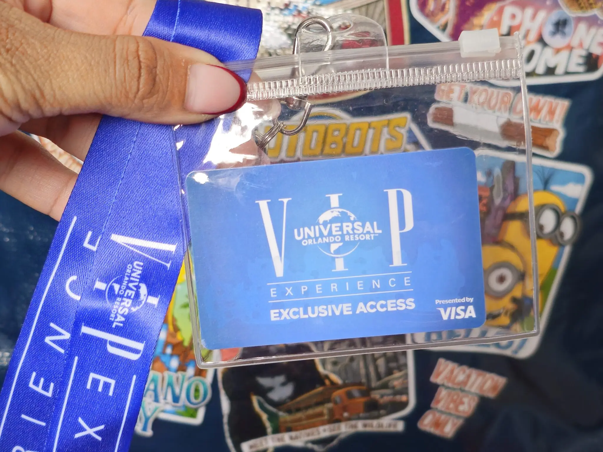 20241129_121330 vip experience universal