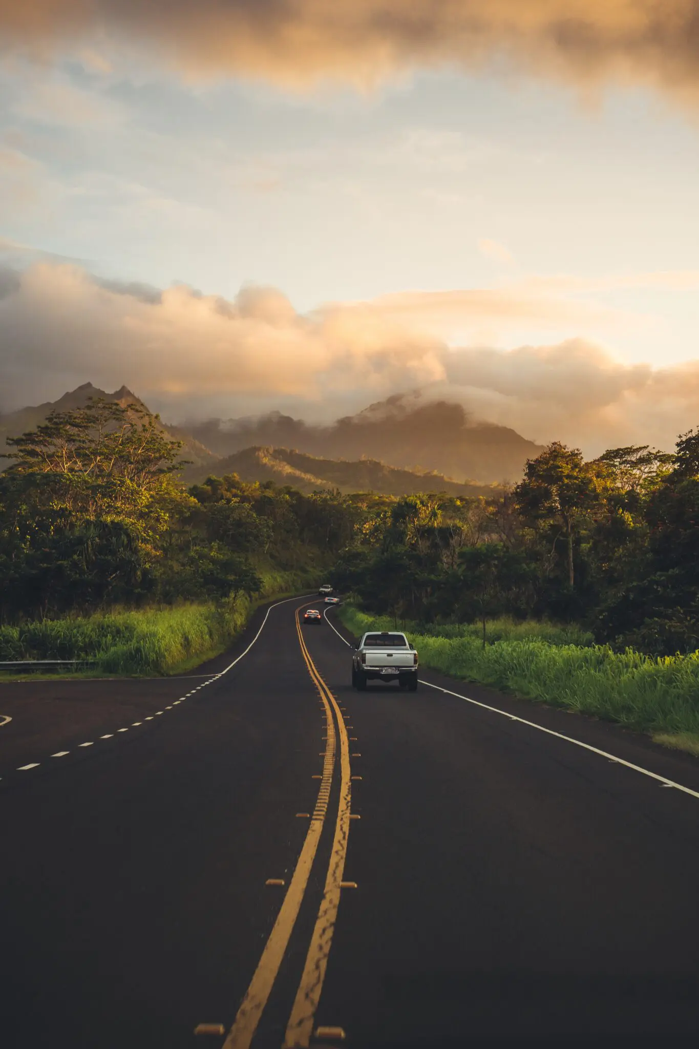 Vertical shot of the beautiful countryside road greenery and forests viewed from a vehicle