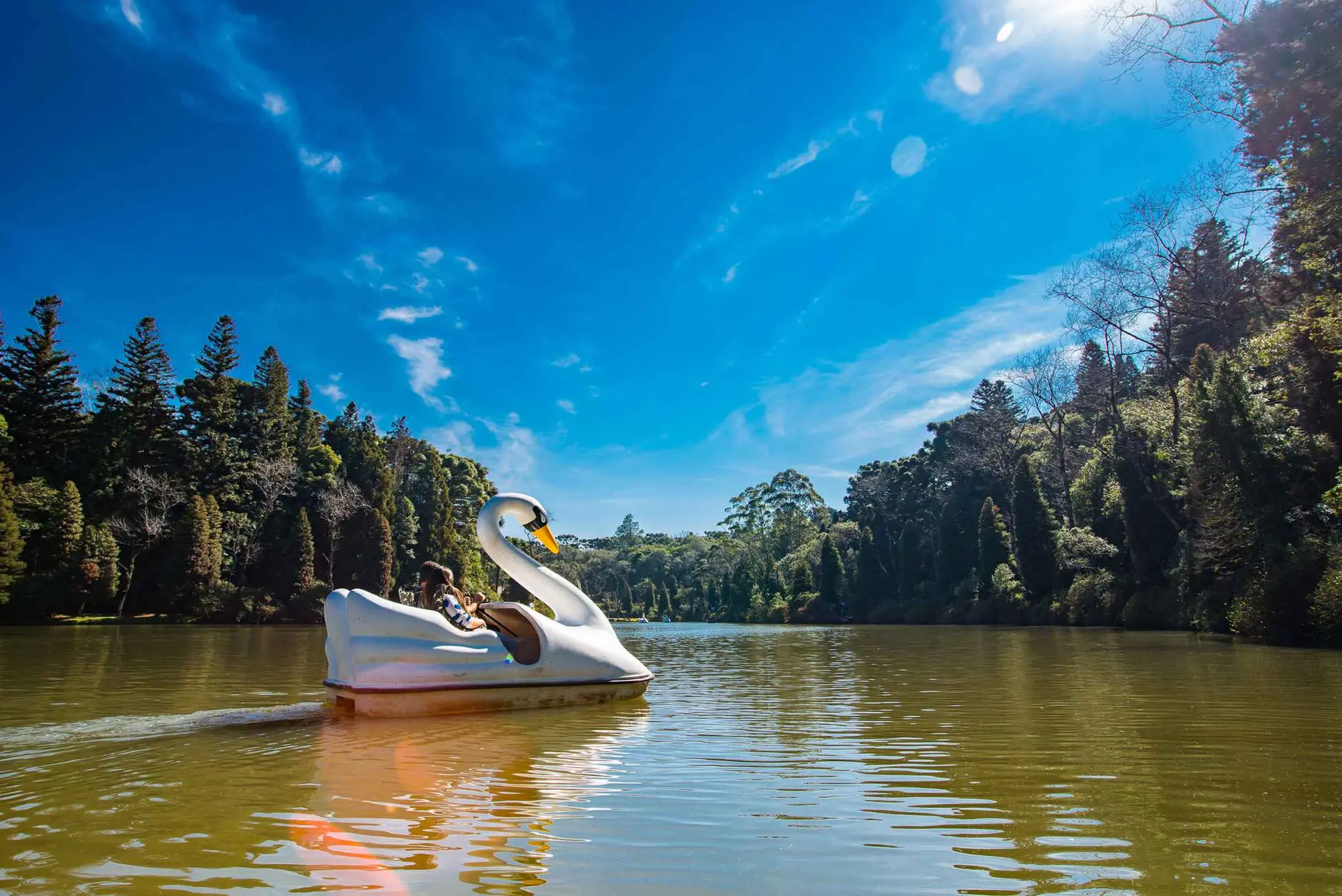 Rota dos Vinhos (Divugação Laghetto Hotéis) (2) Laghetto Hotéis