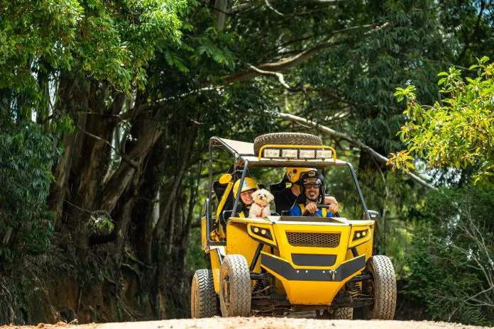 Socorro-Destino-Petfriendly-14 Socorro pet