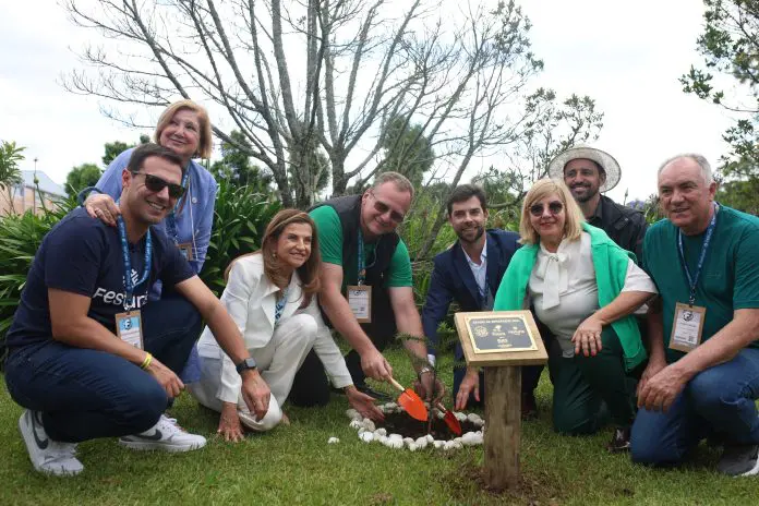 Foto2 - Anselmo Cunha (1) Árvore festuris