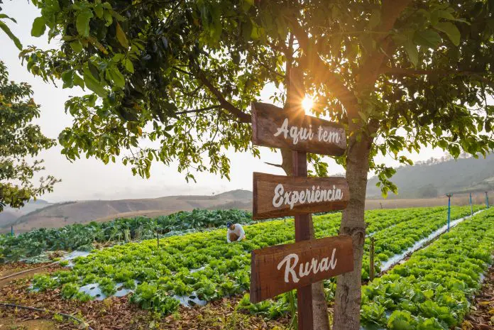 Fotos ©Mafort Projeto Sebrae Vivencias Rurais Paty do Alferes - RJ Paty Alferes