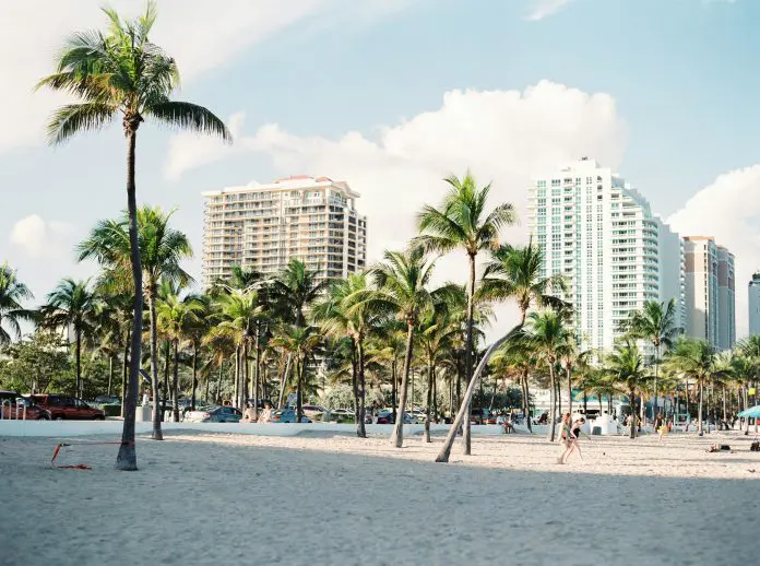 Descubra o outono de Miami: novidades em hospedagem, gastronomia e cultura