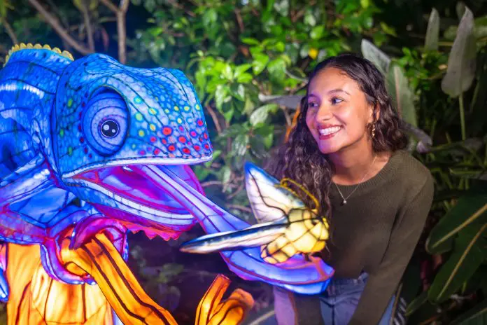 Illuminate transforma o Aquatica Orlando em um espetáculo de luz e cor, com cinco áreas temáticas e experiências sensoriais. Crédito: Divulgação/Aquatica Orlando Illuminate transforma o Aquatica Orlando em um espetáculo de luz e cor, com cinco áreas temáticas e experiências sensoriais. Crédito: Divulgação/Aquatica Orlando