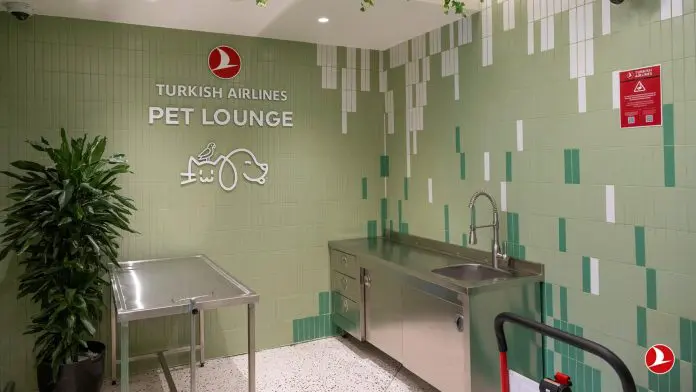 Turkish Airlines apresenta guia completo para viajar com pets Turkish Airlines apresenta guia completo para viajar com pets