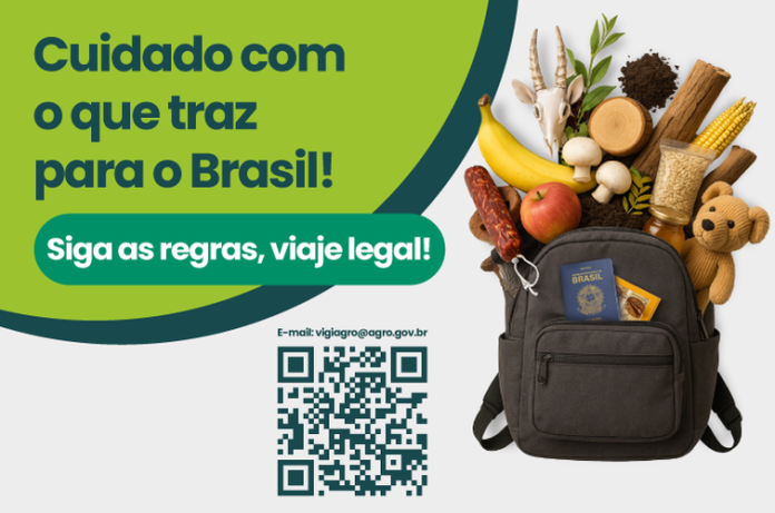 A inobservância das exigências sanitárias do controle agropecuário brasileiro pode resultar na destruição dos produtos trazidos pelos viajantes. Crédito: Divulgação bagagem