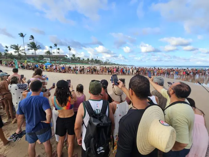 Rapidamente, pessoas que estavam pela praia se juntam para acompanhar a soltura das tartarugas Crédito: Kamilla Alves/Brasilturis