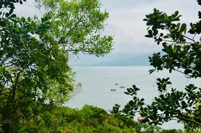 Bombinhas, no litoral de Santa Catarina, mantém taxa ambiental para visitantes após decisão do STF. Crédito: lourdes eriksen/pexels
