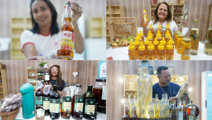 Ministério do Turismo abre inscrições para agricultores familiares participarem do 10º Salão do Turismo, em Fortaleza (CE)