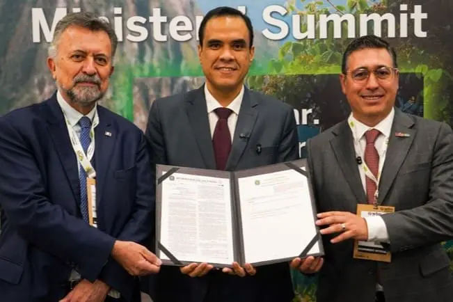Brasil WTM