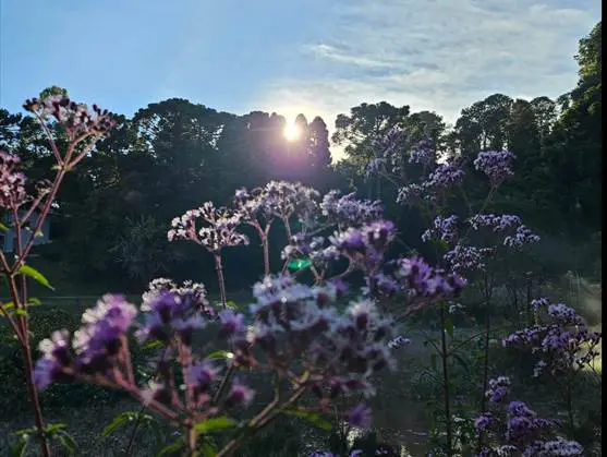 Amanhecer em Monte Verde nesta terça-feira, quando o destino teve o seu recorde de frio neste ano Crédito: Divulgação/Nelson Pacheco