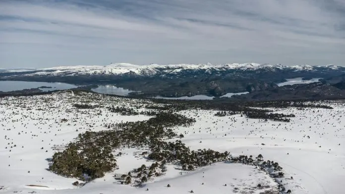 Neuquén