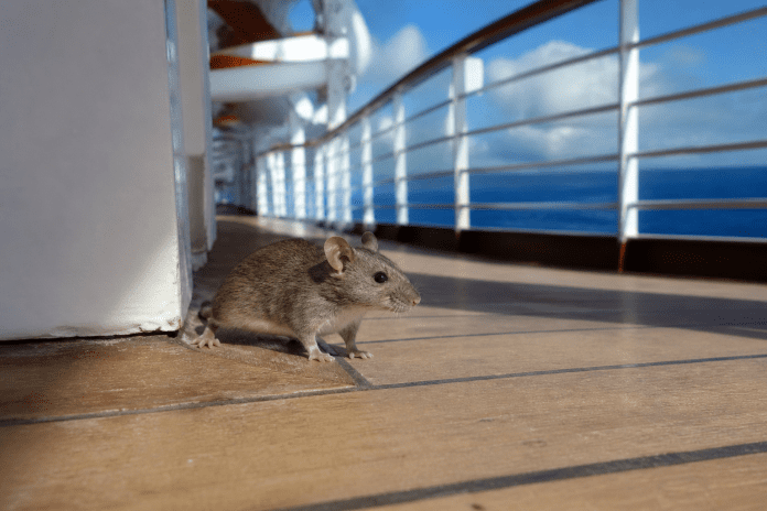 Hantavírus