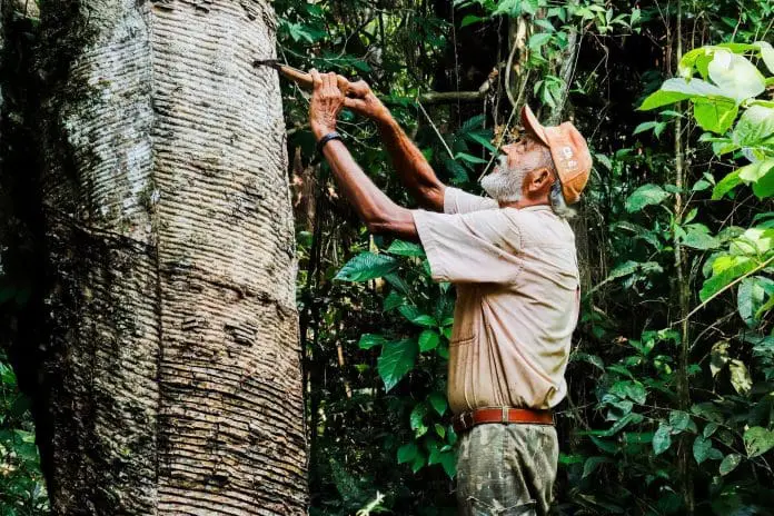 Relatório de Sustentabilidade da Embratur oficializa avanços na compensação de carbono e amplia práticas de impacto social e ambiental