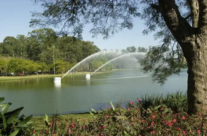 Parque Ibirapuera celebra 72 anos com programação gratuita de natureza, arte, arquitetura e cultura nos dias 29 e 30.