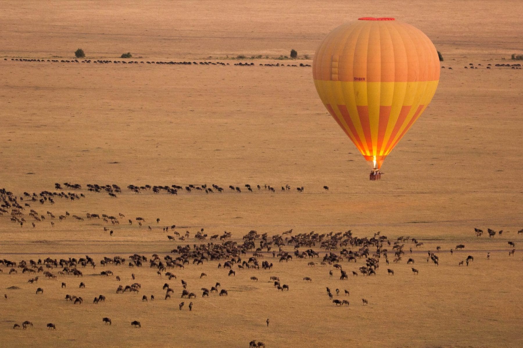 Passeio de balão no Quênia, África