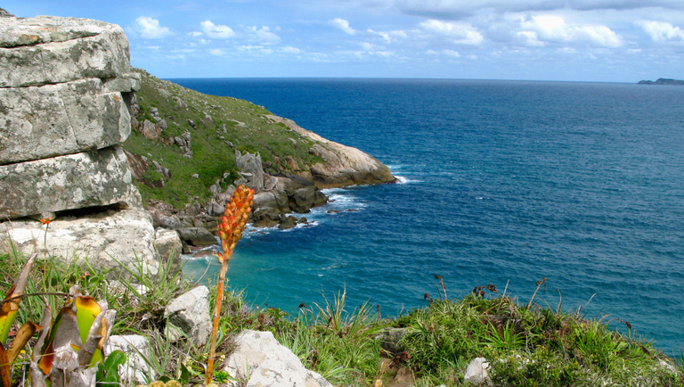 Área de Proteção Ambiental da Baleia Franca. - Foto: ICMBio