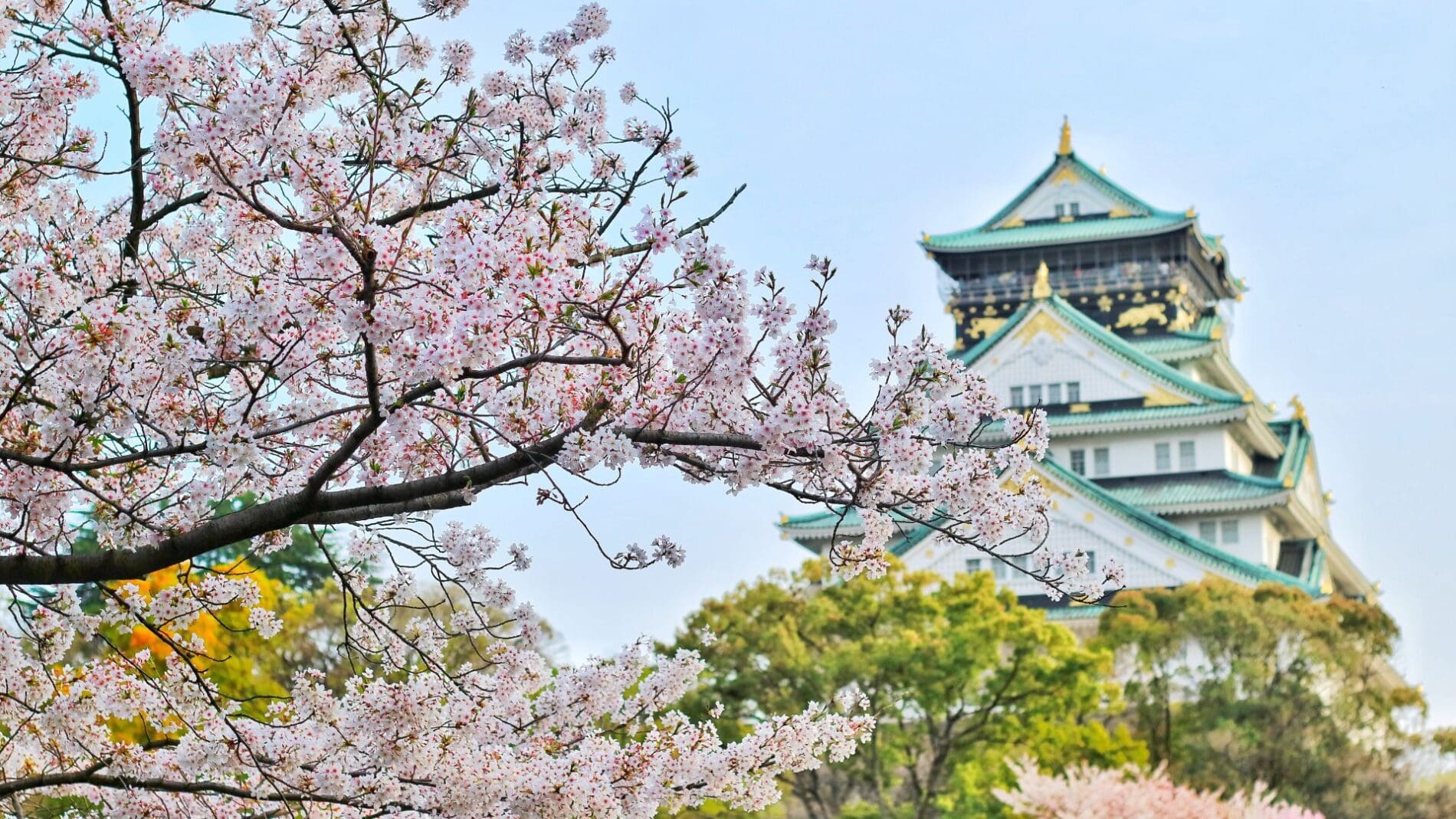 Japão. - Foto: Divulgação.