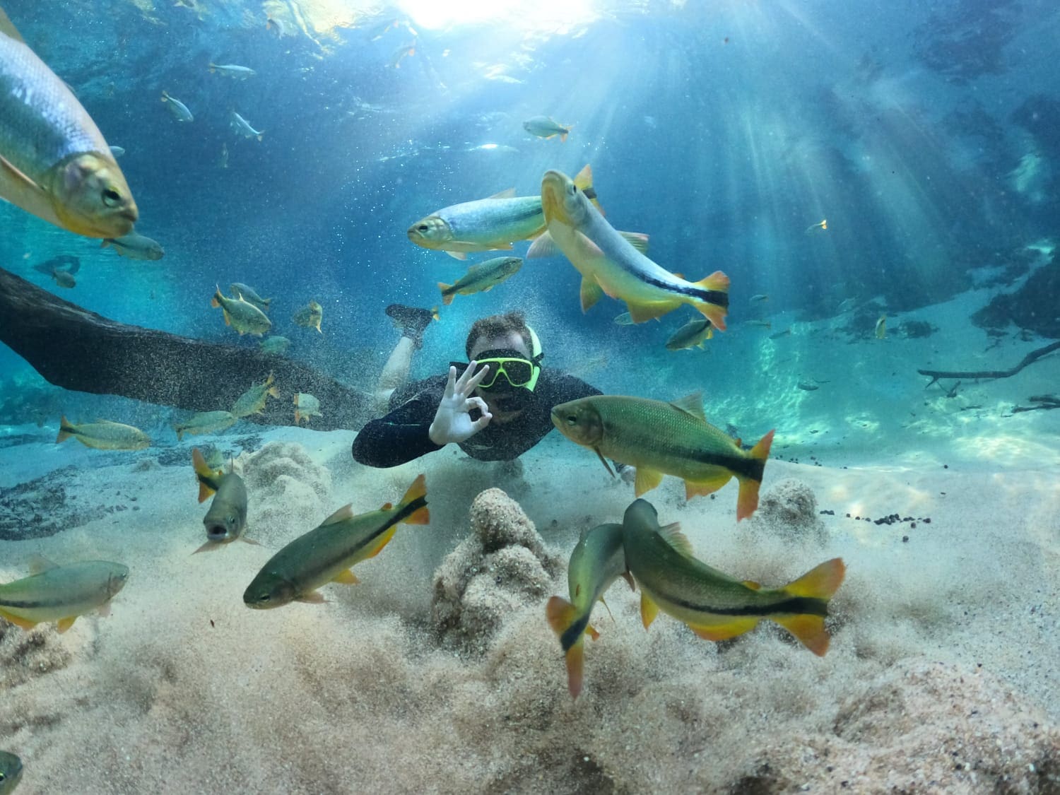 Ecoturismo Rio da Prata