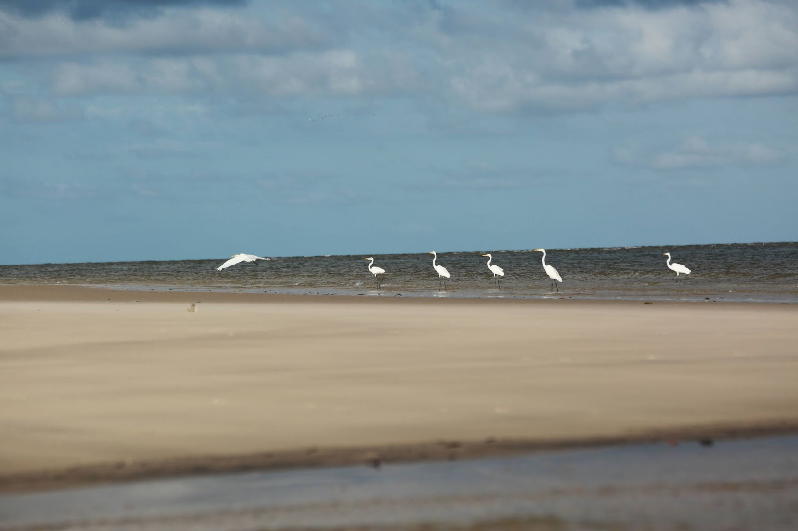 pará roteiros