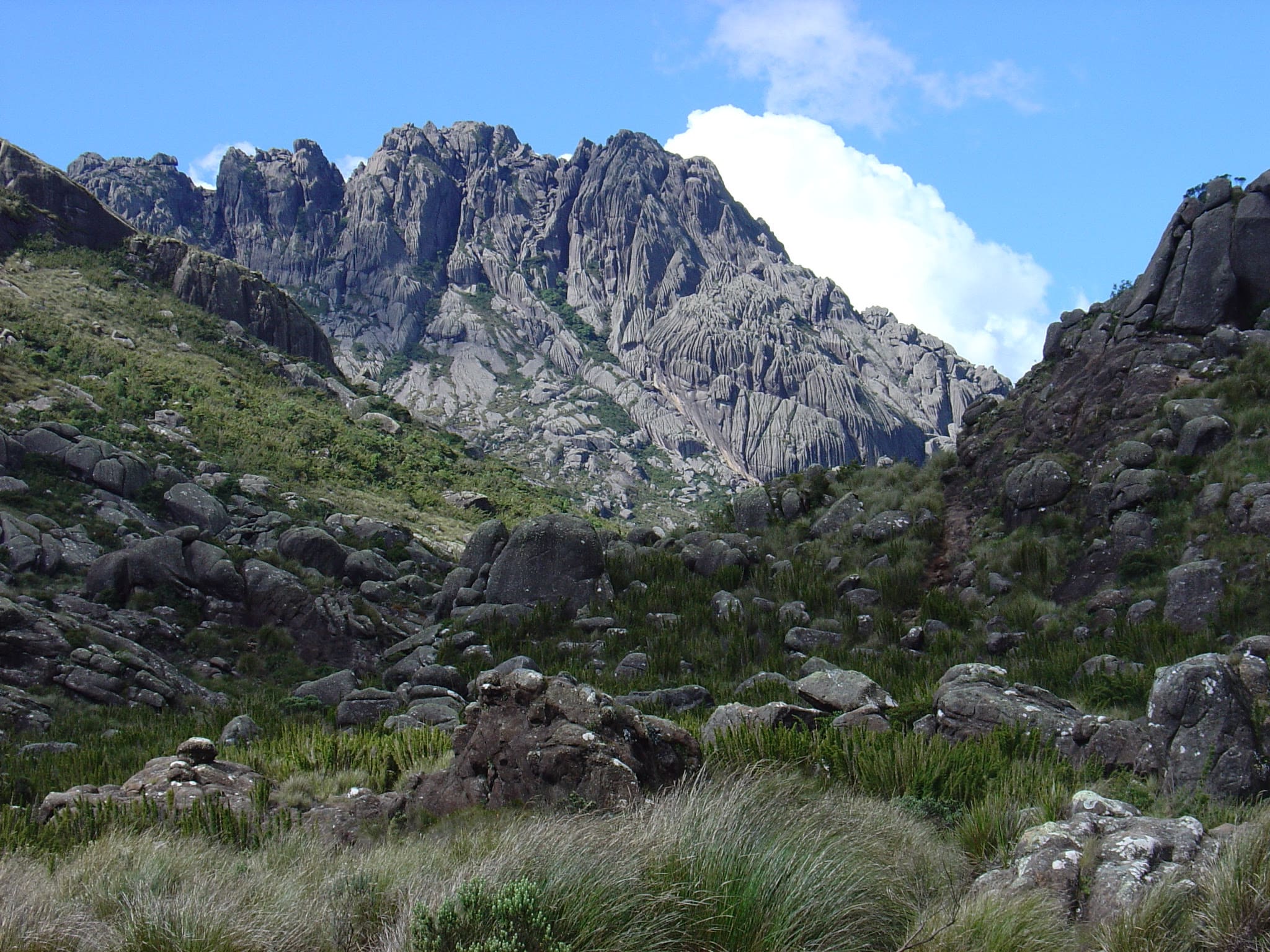 A Parquetur tem novidades para visitantes do Parque Nacional do Itatiaia.