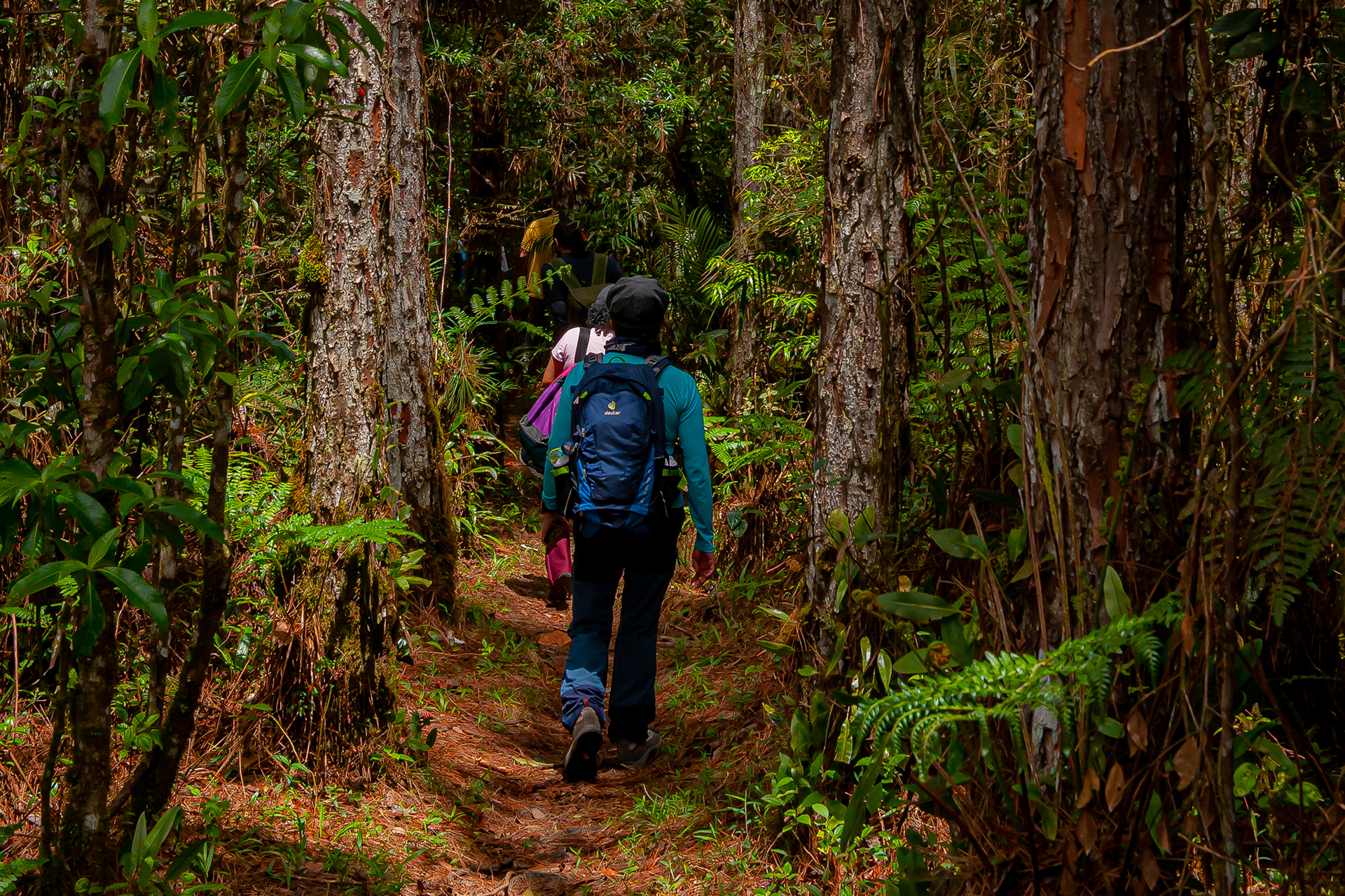 ecoturismo são paulo