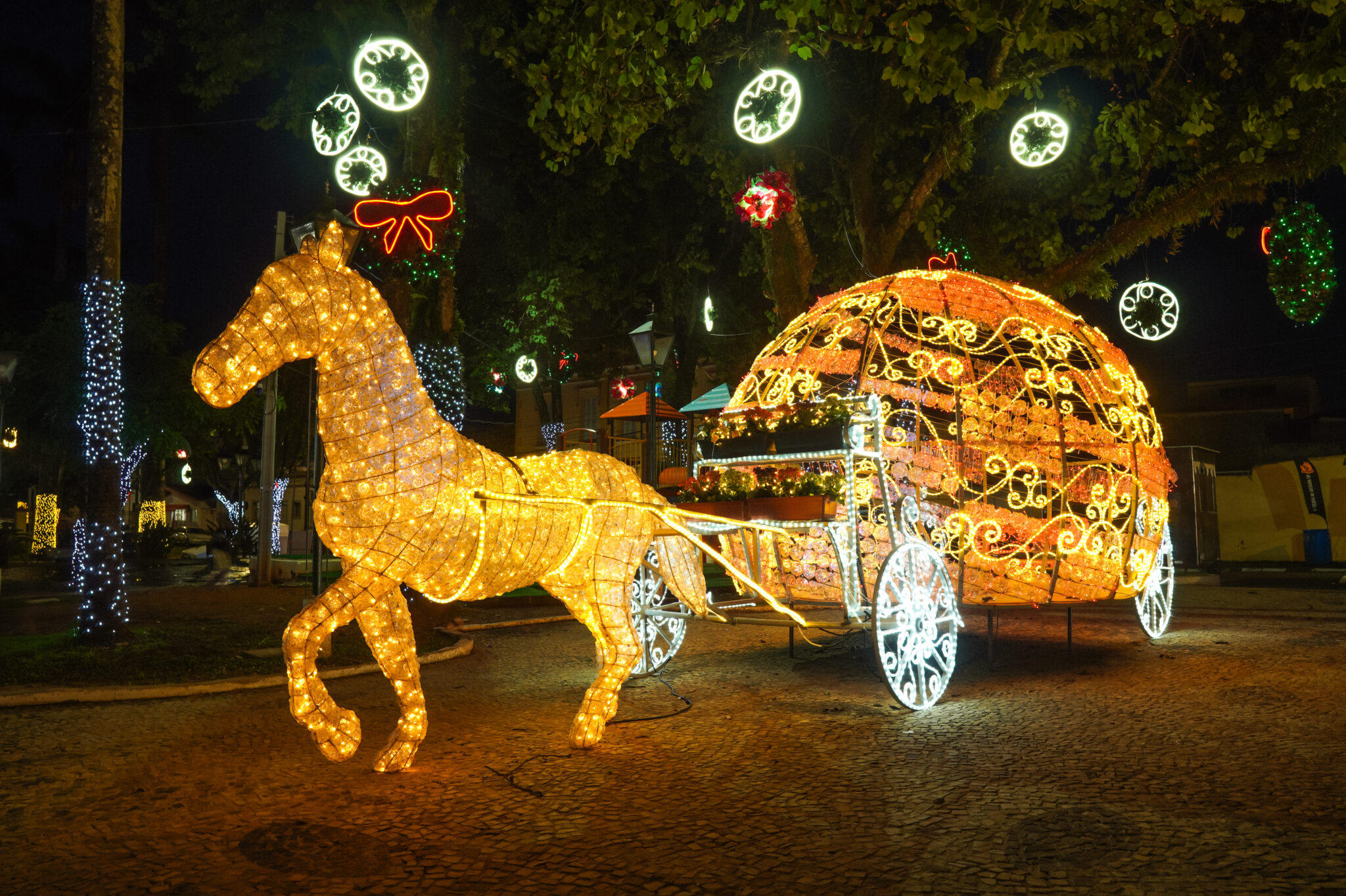 Luzes de Natal em Socorro (SP) (Foto: Thiago Martins)